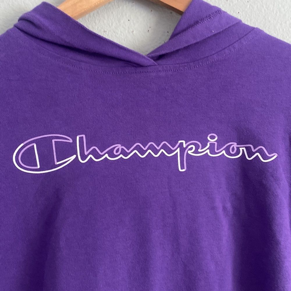 Champion Hooded Sweatshirt - Picture 2 of 7
